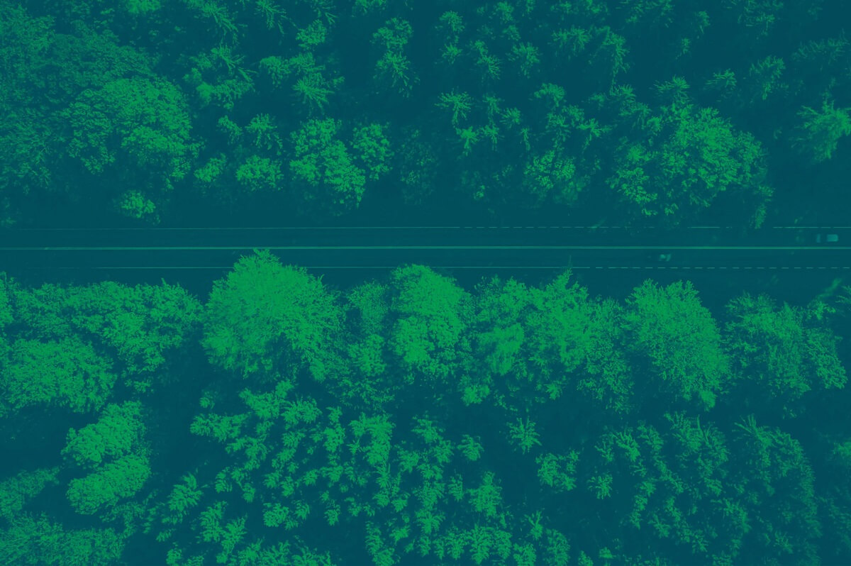 https://api.arval.test.italy.xtl.nl/uploads/2024/05/hero_alberi-scaled-1.jpg